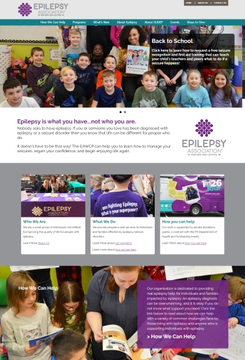 Epilepsy Association Web Site